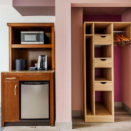 Hilton Garden Inn Orlando At Seaworld Williamsburg Экстерьер фото
