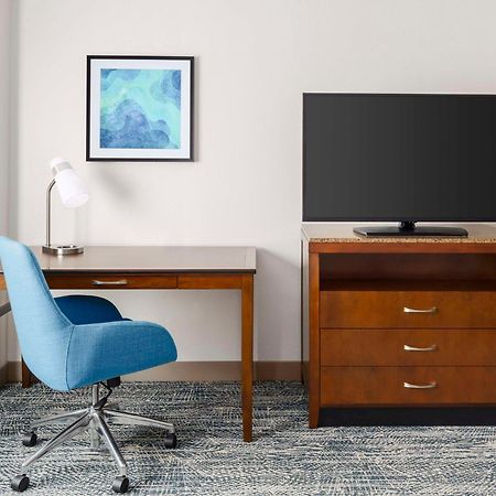 Hilton Garden Inn Orlando At Seaworld Williamsburg Экстерьер фото