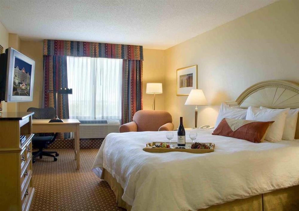 Hilton Garden Inn Orlando At Seaworld Williamsburg Номер фото